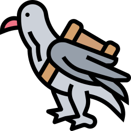 Pigeon icon