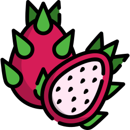 Dragon fruit icon