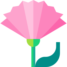 Carnation icon