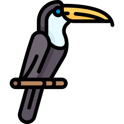 toucan Icône