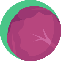Red cabbage icon