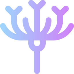 ixora icon