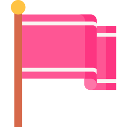 Flag icon