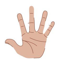 Palm icon