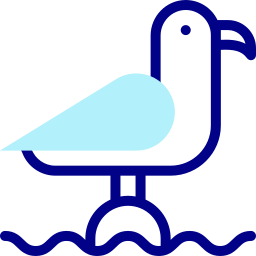 Seagull icon