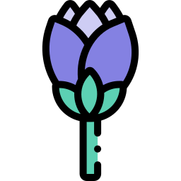protea Ícone