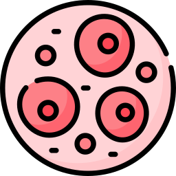 cellule souche Icône