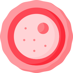 Ovule icon