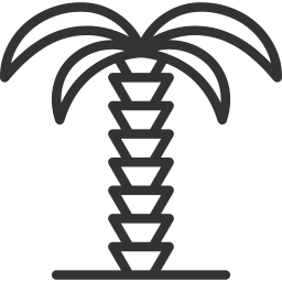 drzewo palmowe ikona