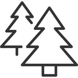 Pine tree icon