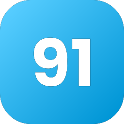 91 icoon