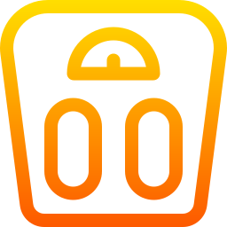 Scale icon