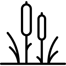 사탕 수수 icon