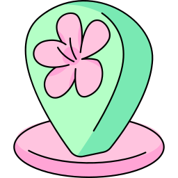 Pin icon