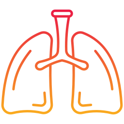 pulmones icono