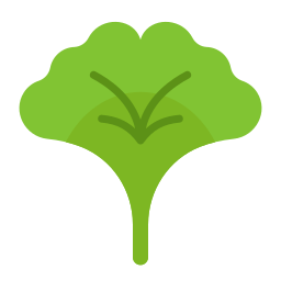 Ginkgo icon