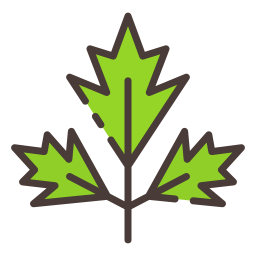 Parsley icon