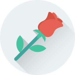 붉은 장미 icon