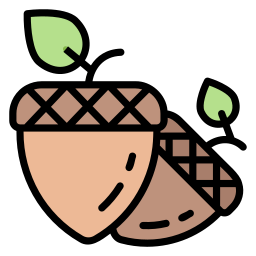 Acorn icon