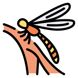 mosca dragón icono