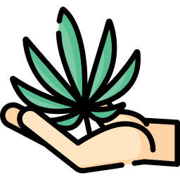 cannabis Ícone