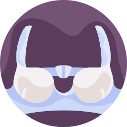 Bra icon