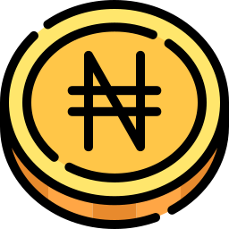 Naira icon