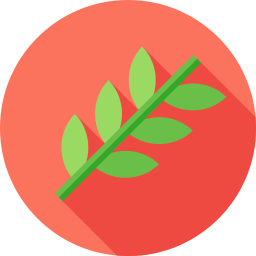 Branch icon