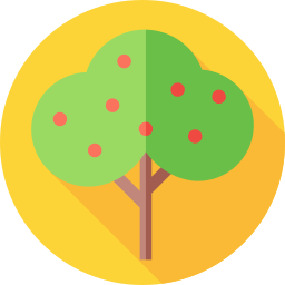 Apple tree icon