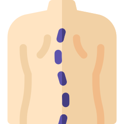 척추 측만증 icon