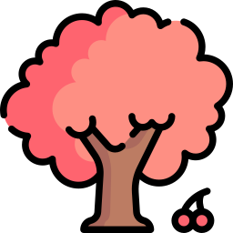 kersenboom icoon