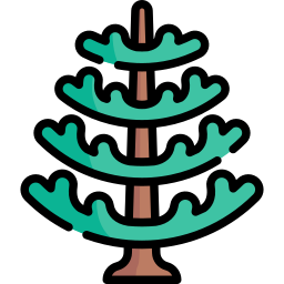 アラウカリアの木 icon