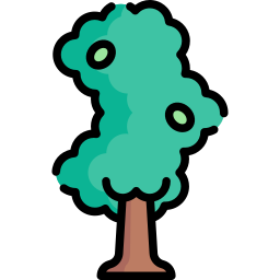 Alder icon