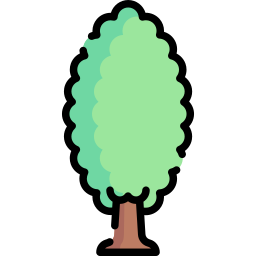 Poplar icon