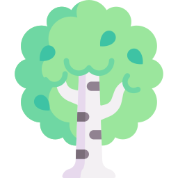 Birch icon