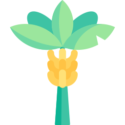 banane icon