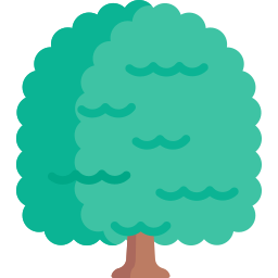 Pecan icon