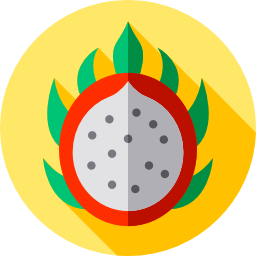 Dragon fruit icon