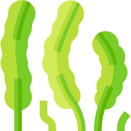 Algae icon