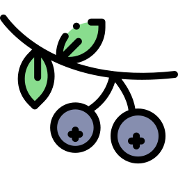 Berries icon