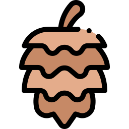 pomme de pin Icône