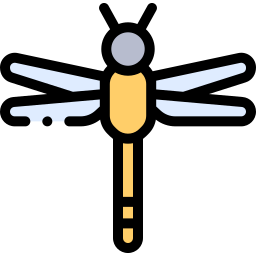 ドラゴンフライ icon