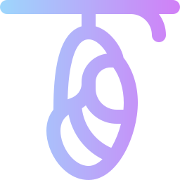 chrysalide icon