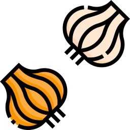 Onion icon