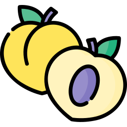 Apricot icon