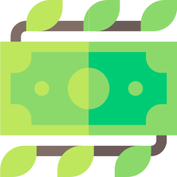 Money icon