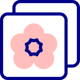 waschi icon