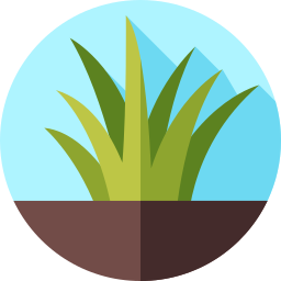 Grass icon