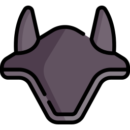 Ears icon