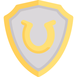 Shield icon